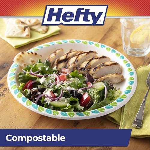 Hefty Compostable Paper Plates, 10 Inches, 20 Count, Patterned Disposable Plates for BBQs, Parties, Holidays, and Everyday Use, Soak-Resistant, Made with Plant-Based Materials, Microwave Safe - image 3