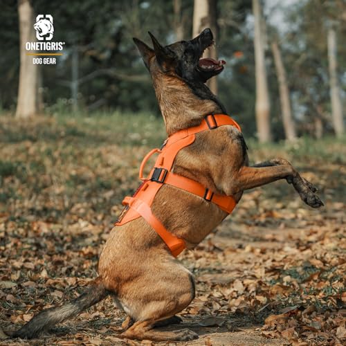OneTigris Hundegeschirr, T-Bone Taktisches Geschirr mit 2 Griff Ausbruchsicher Einstellbar Brustgeschirr für Hunde Jagd Wandern Trainierung Spaziergang Outdoor-Aktivitäten (Orange, M)