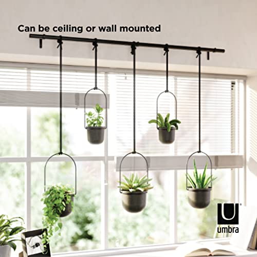 Umbra Triflora Hanging Planter, Set Of 5, Black #TOP5