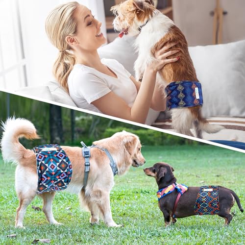 Langsprit faixas de barriga masculinas para cães (pacote de 3) - fraldas para cães masculino - envol