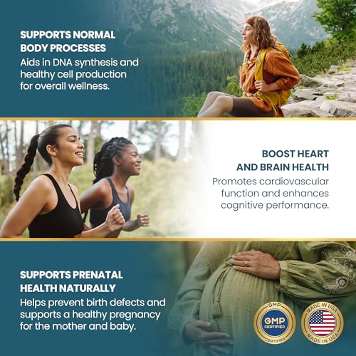 View 4