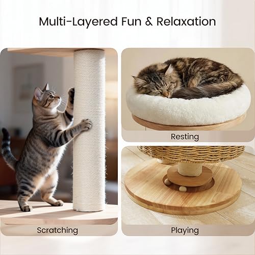 Árbol para Gatos de Madera Maciza con Condominio y Rascador miniatura 7