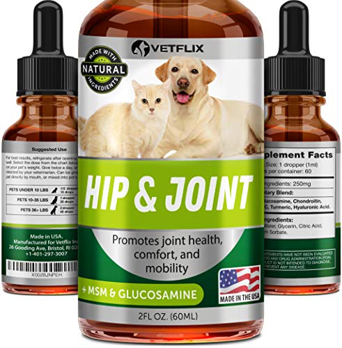 Best Joint Supplements For Cats