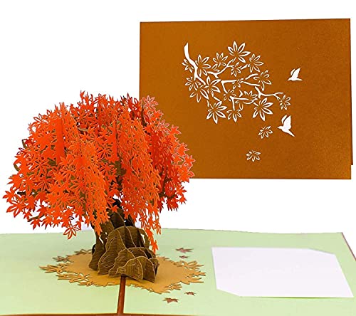 PopLife Orange Maple Tree 3D Pop Up Autumn Card - Anniversary, Pop Up Birthday Card, Thank You, Congratulations, Valentine - for Mom, for Daughter, for Wife, for Grandma, for Stepmom
