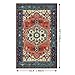 Dintszyayue Boho Area Rug 3 x 5 Oriental Vintage Carpet Washable Non-Slip Indoor Entry Throw Rugs for Living Room Kitchen Outdoor Floor Decoration Terracotta