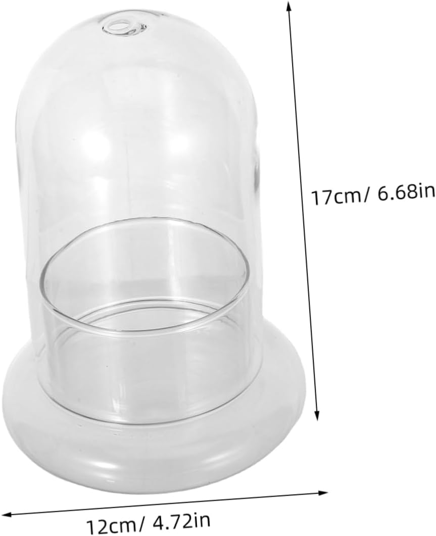 DECHOUS 2pcs Moss Ecological Glass Bottles with Borosilicate Miniature Terrarium Containers for Micro Landscape Decoration DIY Plant Holder for Home and Office