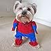 Alfie Pet by Petoga Couture - Superhero Costume Spiderman - Size: M