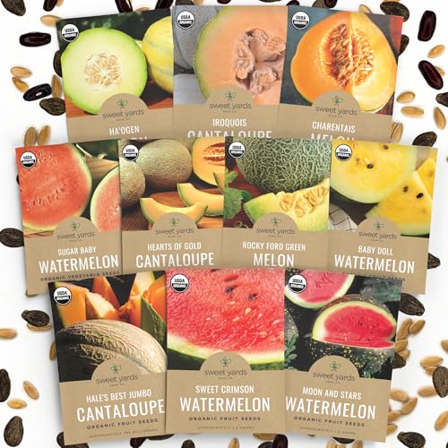 Organic Melon Seeds - 10 Individual Packs - 2025 Season - Non-GMO, Organic