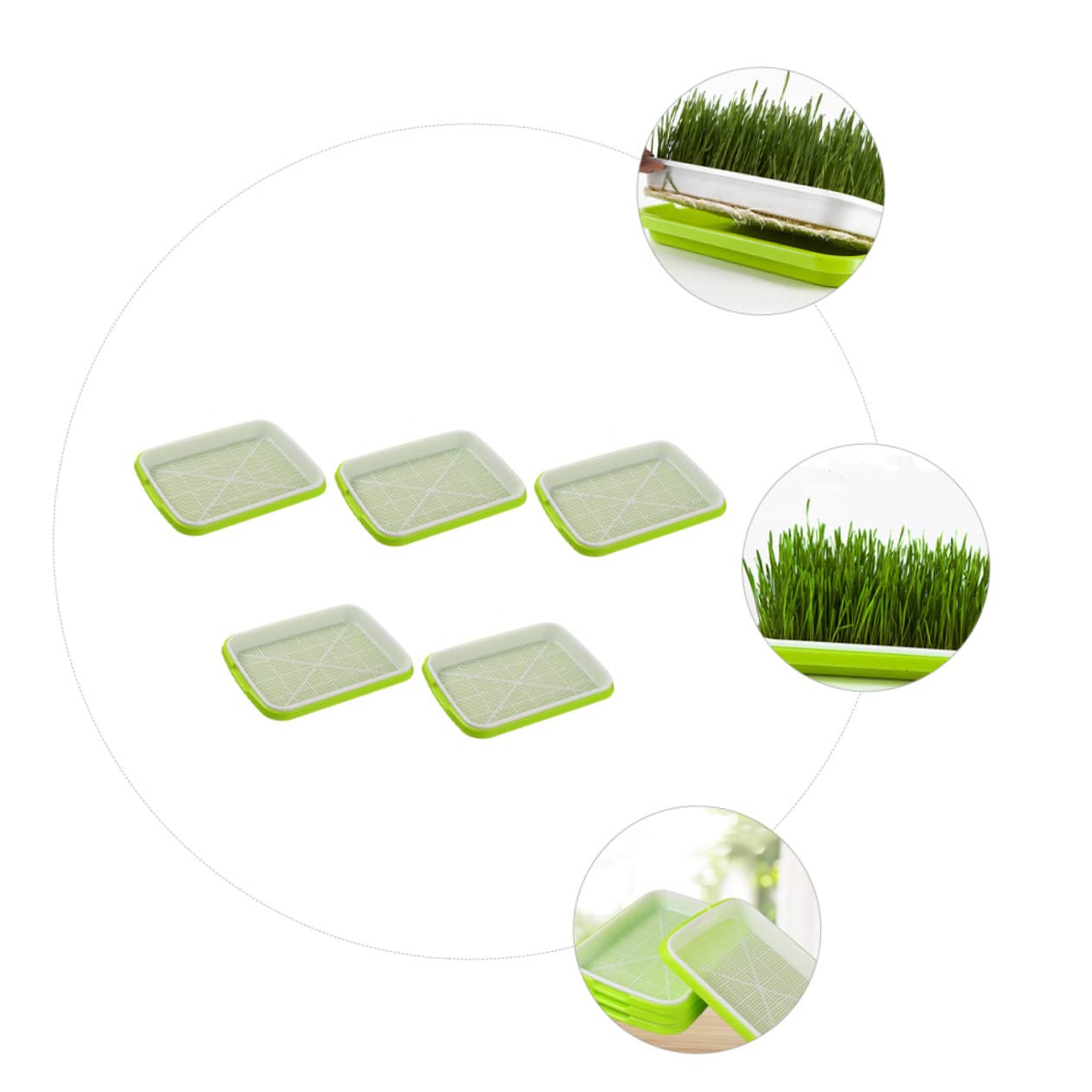 BESPORTBLE 5pièces Plateau de Germination Hydroponique Plateaux de Culture Sol Plateau de Germination Pratique