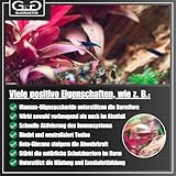 GlasGarten ShrimpFit | 35g – Spezialfutter für Ziergarnelen, Immunbooster für verbesserte Abwehrkräfte, enthält wichtige Wirkstoffe wie Beta-Glucane, Mineralien & Chitin