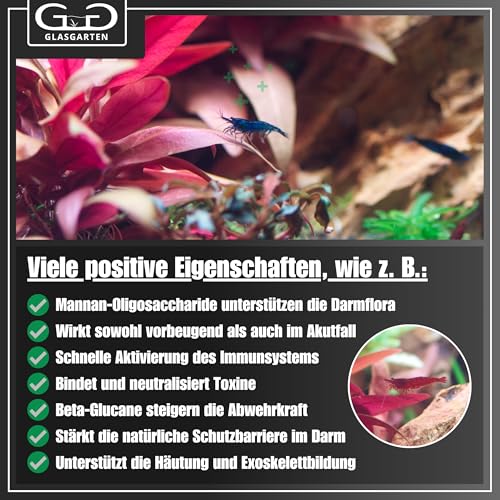 GlasGarten ShrimpFit | 35g – Spezialfutter für Ziergarnelen, Immunbooster für verbesserte Abwehrkräfte, enthält wichtige Wirkstoffe wie Beta-Glucane, Mineralien & Chitin