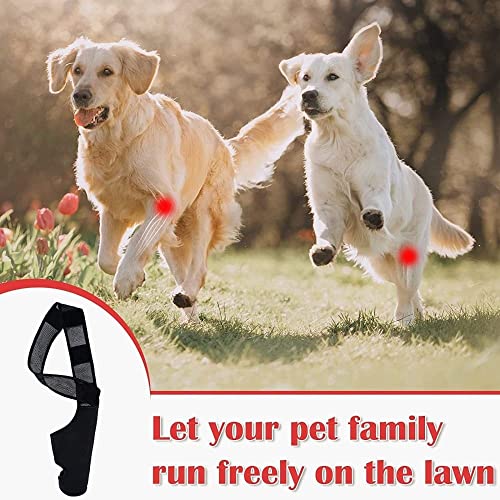 Image of gofidin Dog Leg Support Brace, Pet Knee Pads Dog Elbow Support Brace Protector Breathable Knee Brace Injury Recover Legs Wrap Reduces Pain and Inflammation