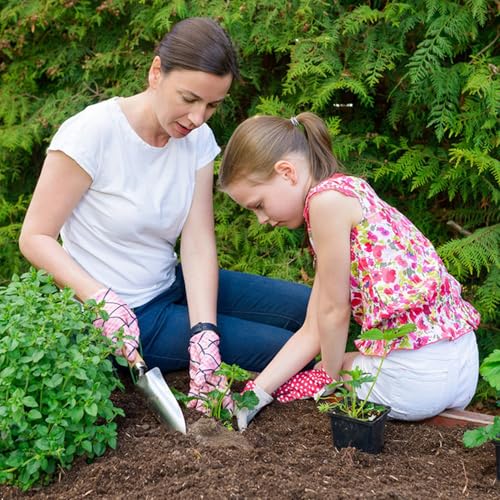 Set de Herramientas de Jardín 9 Piezas con Bolsa Tote miniatura 7