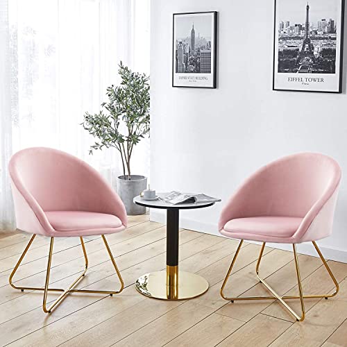Altrobene Velvet Accent Chair, Modern Kitchen Dining Chairs, Living Room Bedroom Armchair, Home Office Reception Chair, Set Of 2, Golden Finished, Pink #TOP9