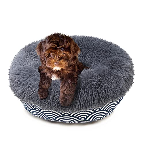 Upgrade Your Pup's Sleep Style The Ultimate Guide to AllModern Dog