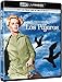 Produktbild Los Pájaros (4K Ultra-HD + Blu-ray) [Blu-ray]