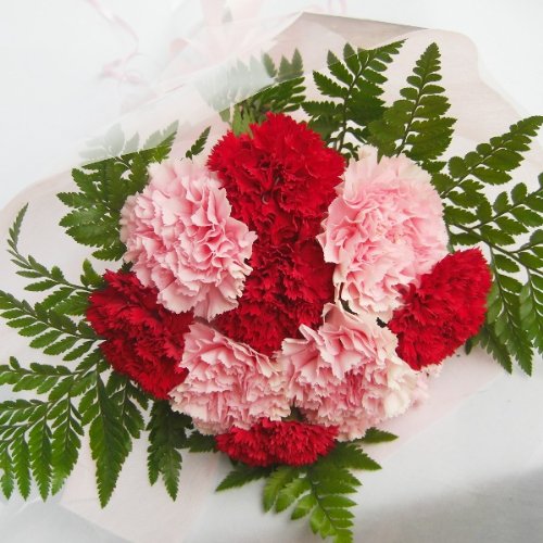 Amazon｜赤とピンクのカーネーションの花束10本母の日に｜花束