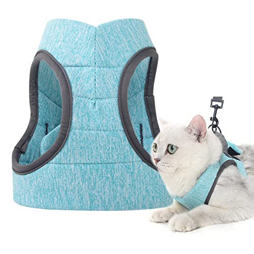 Lpn[lX [V Eh~ y ʋC ߉\ \tg p ybgxXg