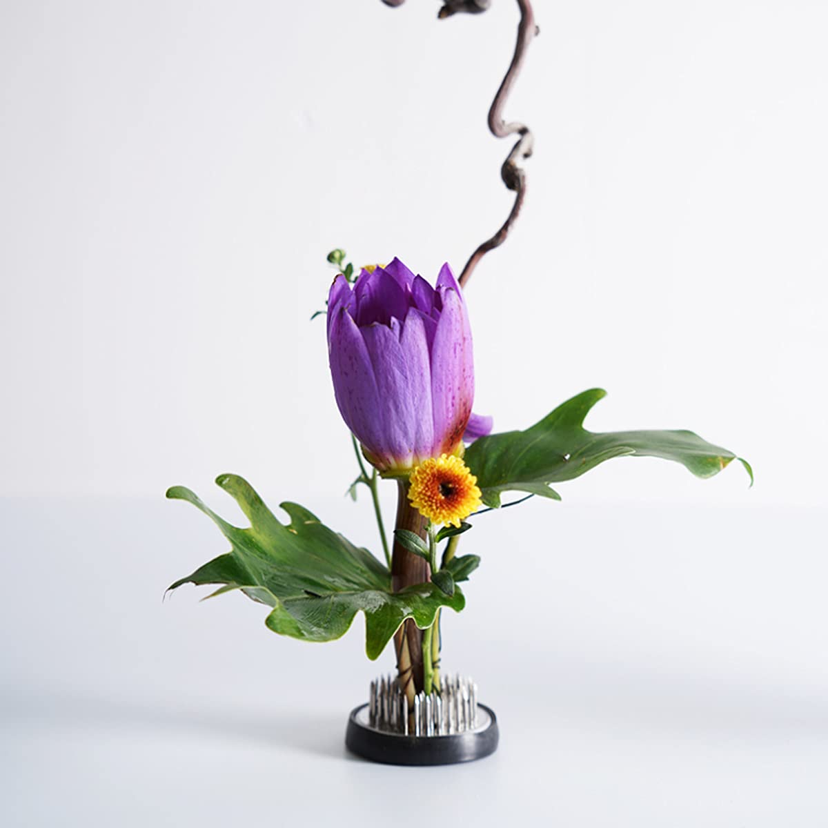 Supporti Per Fiori In Acciaio Inossidabile - Set 4 Pezzi Per Composizioni Floreali E Ikebana - Foto 6