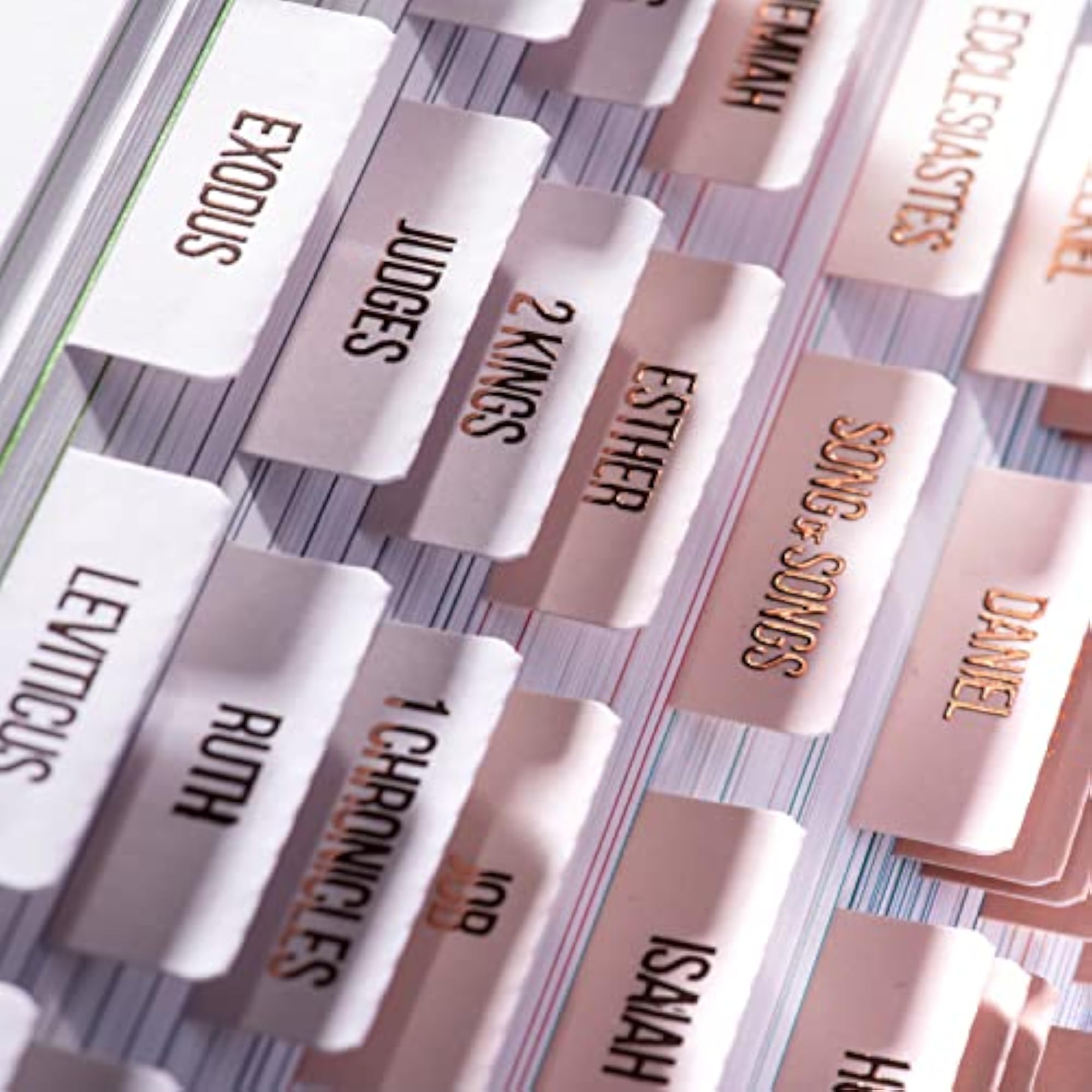Laminated Bible Tabs for Easy Reading and Journaling