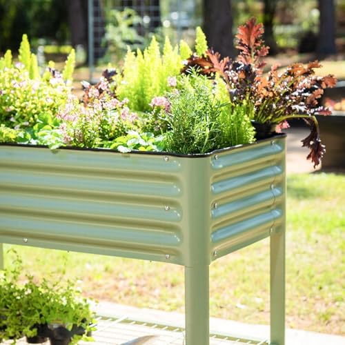 Vego garden Elevated Raised Garden Bed, 2' x 4' Outdoor Planters Boxes with Legs & Storage Rack for Patio, 700 Lbs Weight Capacity, Raised Beds for Gardening Herbs Vegetables Flowers, Pearl White by Vego garden - Used condition - Image 9