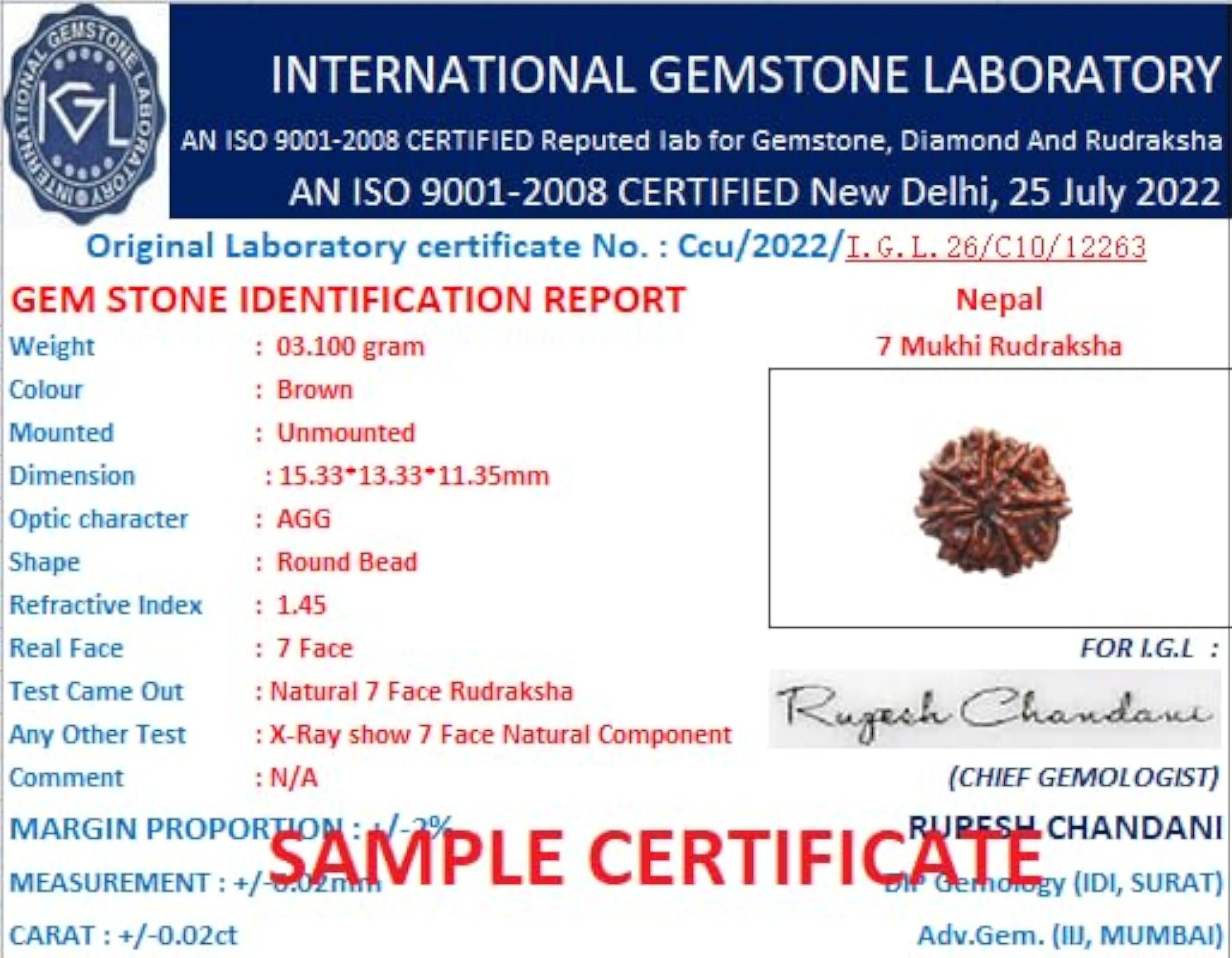Natural Seven Mukhi Rudraksha Bead