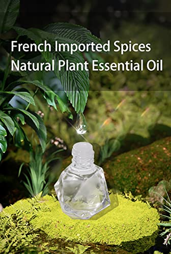 5Ml Air Freshener Car Fragrance Diffuser, Long Lasting Hanging Scent Car Accessories For Men Women(Floral Fruity) #TOP2