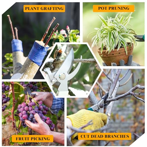30 tijeras de podar para jardín beige, paquete de 30 piezas miniatura 7