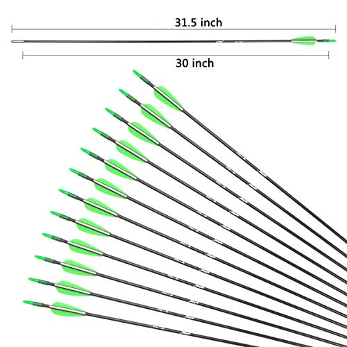ANTSIR 30 Fiberglass Archery Target Arrows- Practice Arrows for Kids Youth or Begineers on Recurve Bow Long Bow Traditional Bow (Green Vanes Pack of 12)