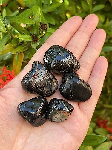 Image of GAF TREASURES 1 /2 LB Black Onyx Tumbled Stones, Polished Natural Black Onyx Gemstone, Black Onyx Healing Crystals (Black Onyx)