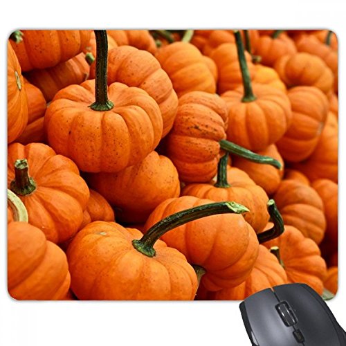 ʐ^̐VNȃJ{`G mXbvSpbh̃Q[}EXpbhv[g