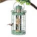 Collections Etc Springtime Hanging Bird Feeder, Vintage French Country-Inspired Green Design, 7 3/4" L x 7 3/4" W x 16 1/2" H, Green