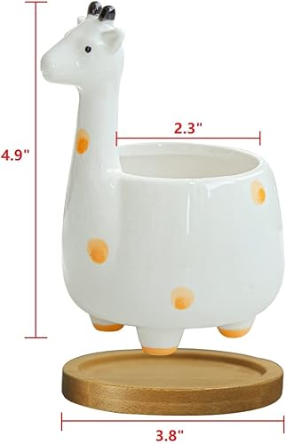 Miniatura 7 de GeLive Paquete de macetas suculentas de elefante y jirafa