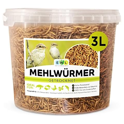 Mehlwürmer getrocknet 3 ltr. Premium Insektensnack Vögel, Fische, Schildkröten, Nager, Igel, Reptilien, Vogelfutter Wildvögel Ganzjährig Eichhörnchen Futter Hamsterfutter Igelfutter Cover