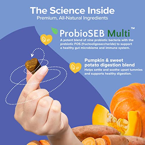 Belly Boost Probiotic Soft Chews for Dogs – Vet Formulated for Gut Health, Digestion, Allergy Relief, & Immune System Support – Smoked Pumpkin & Sweet Potato Flavor – for All Breeds & Sizes Belly Boost Probiotic Soft Chews for Dogs – Vet Formulated for Gut Health, Digestion, Allergy Relief, & Immune System Support – Smoked Pumpkin & Sweet Potato Flavor – for All Breeds & Sizes