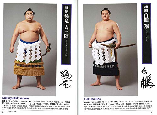 歴代最強の力士は 横綱強さランキング Top7 あ るぐれいはいかが