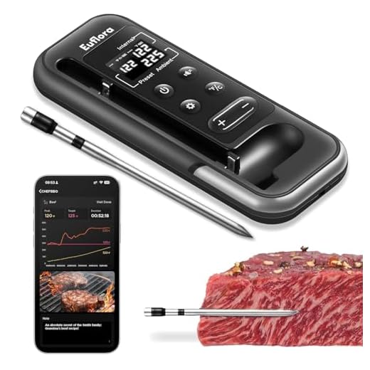 Wireless Bluetooth Meat Thermometer