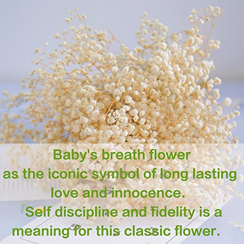 5000+ Dried Baby's Breath Flowers Bouquet - Upgraded Large Pack Natural White Flowers Bulk, Gypsophila Branches For Wedding, Table Vase, Party Garden, Diy Wreath Floral, Arrangement Home Decor #TOP1