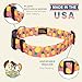 Country Brook Petz - Deluxe Pineapple Sunset Dog Collar - Made in The U.S.A. - Tasty Collection Featuring Yummy Designs (1 Inch, Medium)
