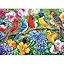 Spring Colorful Birds