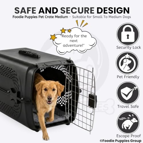 Image of Foodie Puppies Imported Plastic Pet Travel Carrier Cage (58 x 37 x 37 cm, Medium) for Small to Medium Dogs, Cats, Puppies & Small Animals | Portable Transporter Box with Metal Door & Spring Lock