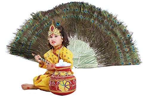 Image of Raj Fancy Dresses Radha and Krishna Brocade Fabric Janmashtami Mythological Character Costume