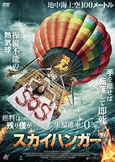 スカイハンガー