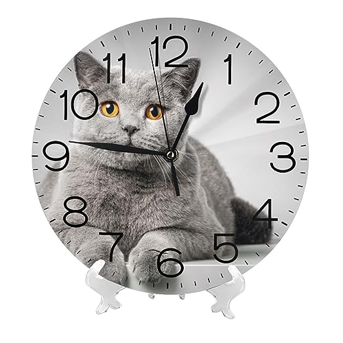 L DF ueBbVV[gwA ybg |v  k Ǌ|v É  Q  蕨 CeA 吔 a25cm dg a v[g