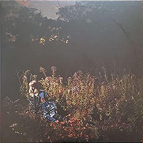Album Art for Ignorance (Blue Vinyl) by Weather Station