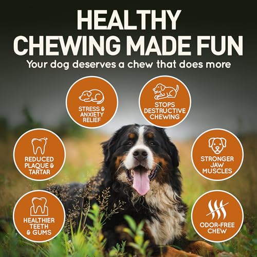 Wildfang® Kauwurzel aus Baumheide für Hunde, Größe L - Natürliches Kauspielzeug Hund, splitterfreies Hundespielzeug unzerstörbar zur Zahnpflege Hund & Welpenspielzeug (für Hunde 25–45 kg), 1 Stück