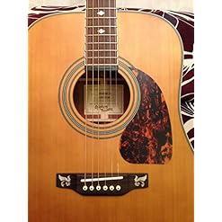 Inlaystickers Stickers pour Chevalet de Guitare Acoustique – Little Wings (G/D) – Perle Blanche BS-217LW-WT - Les Beatles, Paul McCartney, John Lennon, RIngo Starr, George Harrison Inlaystickers Stickers pour Chevalet de Guitare Acoustique - Little Wings (G/D) - Perle Blanche BS-217LW-WT – Image 2