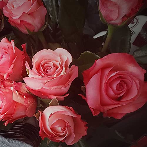 Letter to My Ex Boyfriend