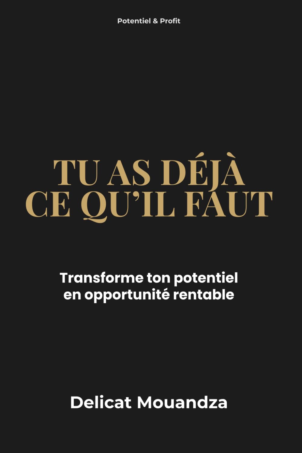 Potentiel & Profit: TU AS CE QU'IL FAUT: Transforme ton potentiel en opportunité rentable