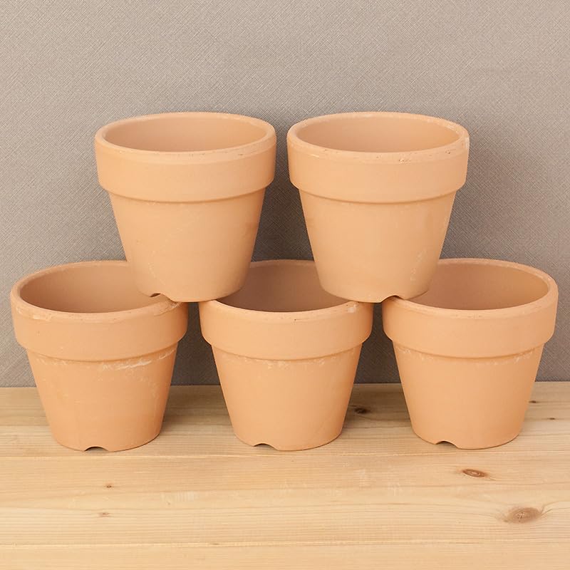 Amazon.co.jp: iファーマーらんぼ 胡蝶蘭 植替えセット 鉢のみ（4号鉢